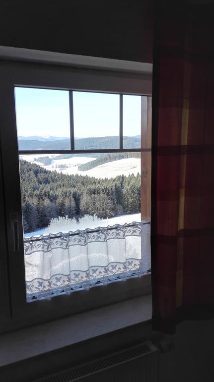 Pension Forsthaus Taele - Das Gaestehaus Vom Schwarzwaldgasthaus Salenhof Titisee-Neustadt Exterior photo